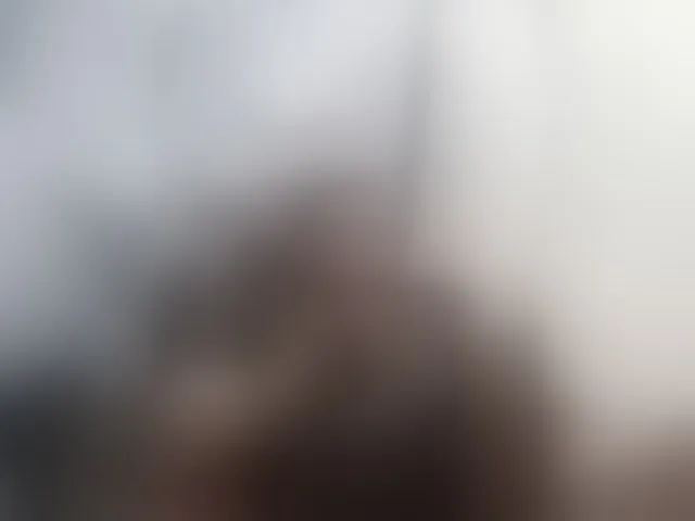 Live sex webcam photo for -RUS- #293576636