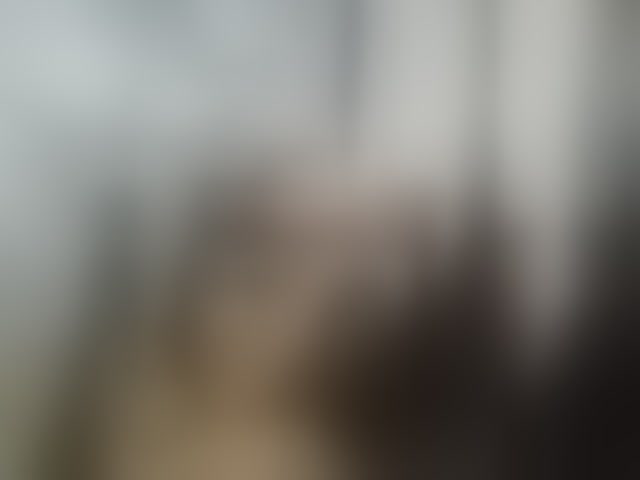 Live sex webcam photo for -RUS- #294167736