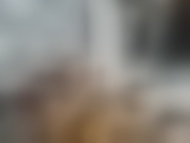 Live sex webcam photo for -RUS- #294203330