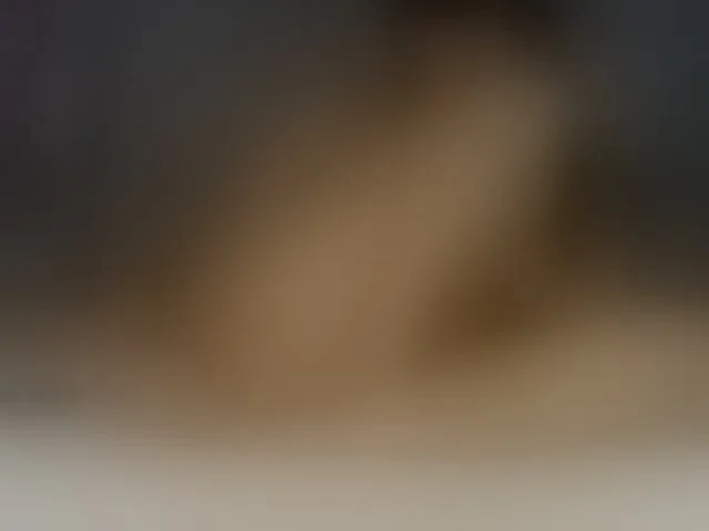 Live sex webcam photo for -Smetanka- #294335894