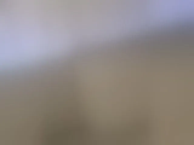 Live sex webcam photo for -Smetanka-