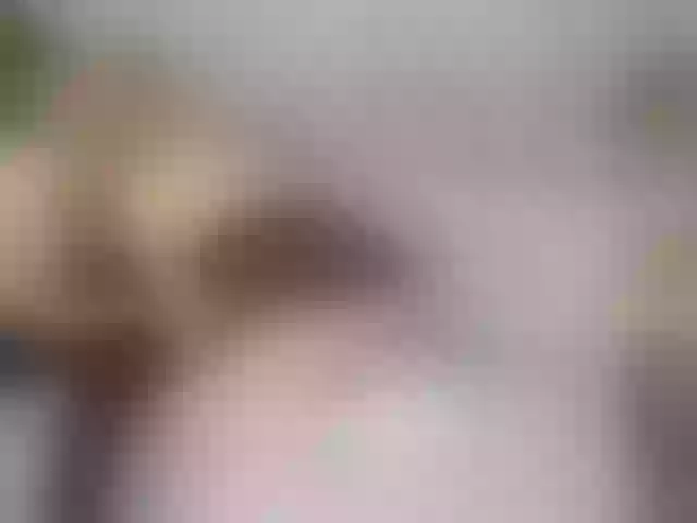 Live sex webcam photo for -VALERRI- #290403002