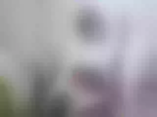 Live sex webcam photo for -VALKYRIE- #277903272