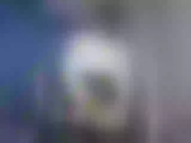 Live sex webcam photo for -VALKYRIE- #277910285