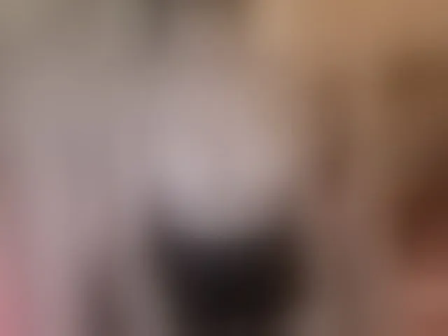 Live sex webcam photo for -Vaka- #276719801