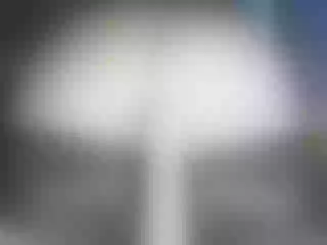 Live sex webcam photo for -WINNI-PUX- #289356421