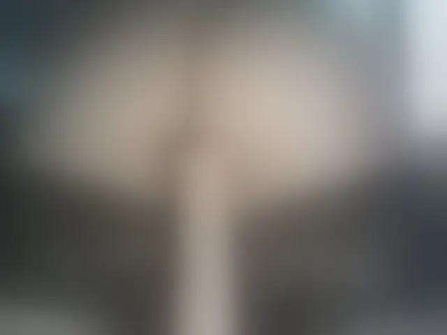 Live sex webcam photo for -WINNI-PUX- #289373440