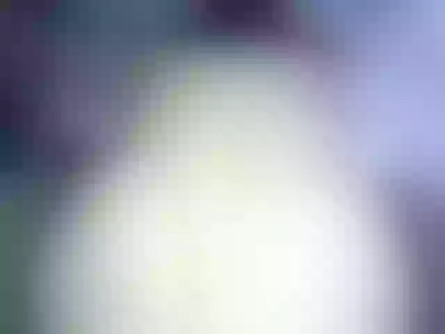 Live sex webcam photo for -WINNI-PUX- #291358712