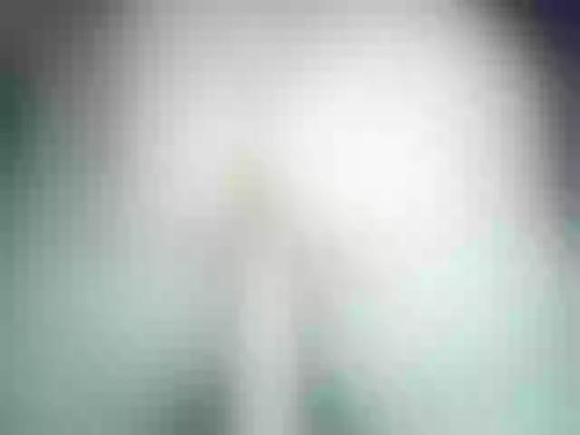 Live sex webcam photo for -WINNI-PUX- #291969000
