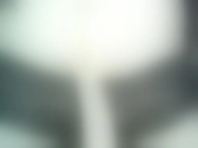 Live sex webcam photo for -WINNI-PUX- #292544635