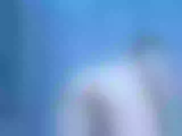 Live sex webcam photo for -YaNa- #292067633