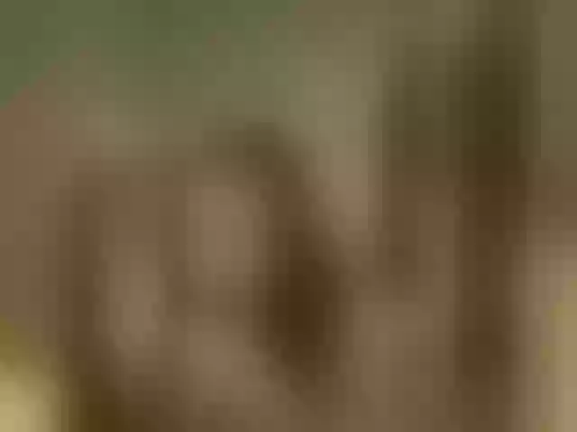 Live sex webcam photo for -Your-Michelle- #291847569