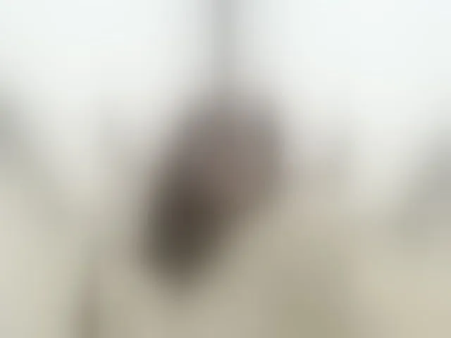 Live sex webcam photo for -Your-Michelle- #292873849