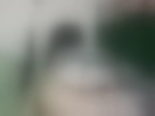 Live sex webcam photo for -alexis- #294126369