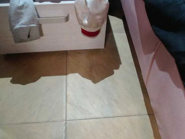 Live sex webcam photo for -eimyy #290848621