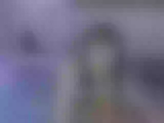 Live sex webcam photo for -fullmoon #290720926