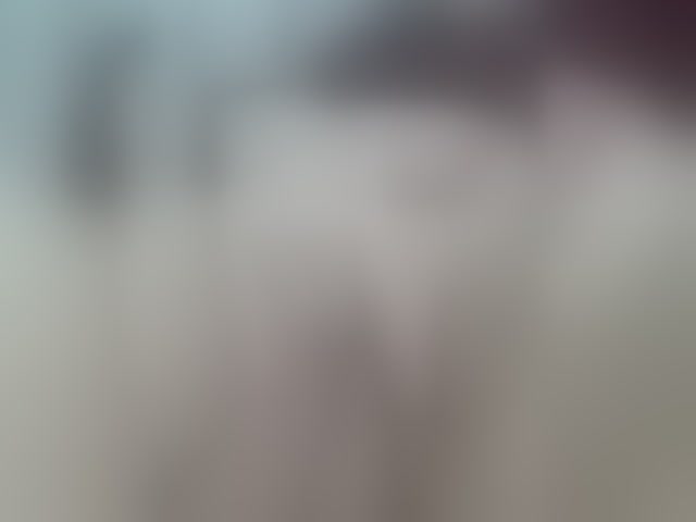 Live sex webcam photo for -kisulay- #294195675