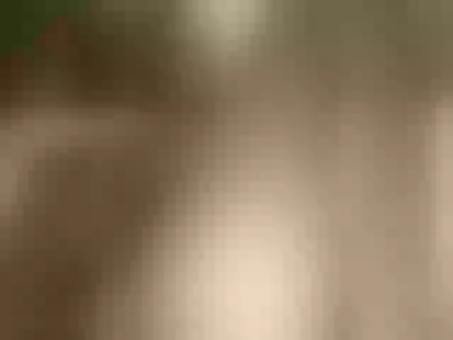 Live sex webcam photo for -ollia- #277058590