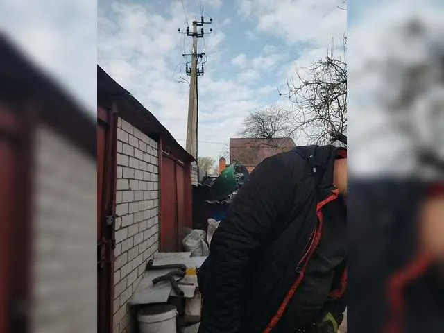 Live sex webcam photo for -orsu- #290887427