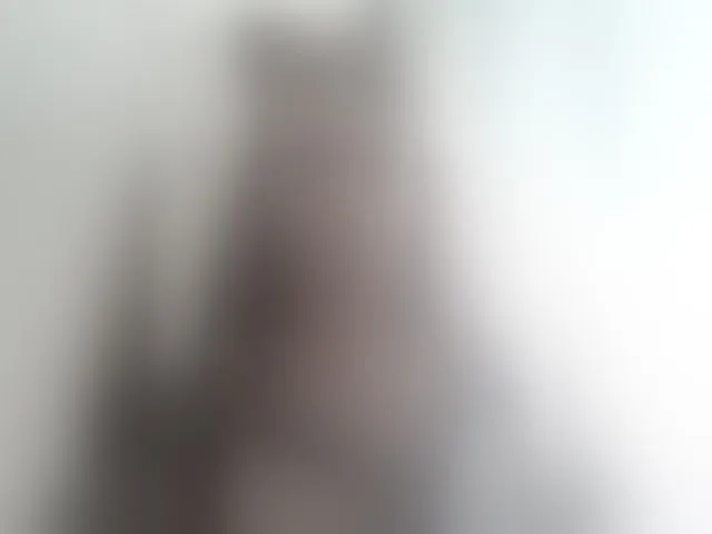 Live sex webcam photo for -queen-margo- #293194069