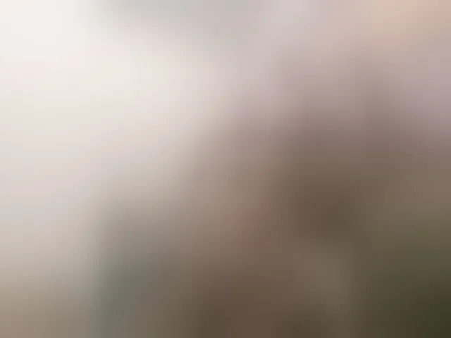Live sex webcam photo for -queen-margo- #294017836