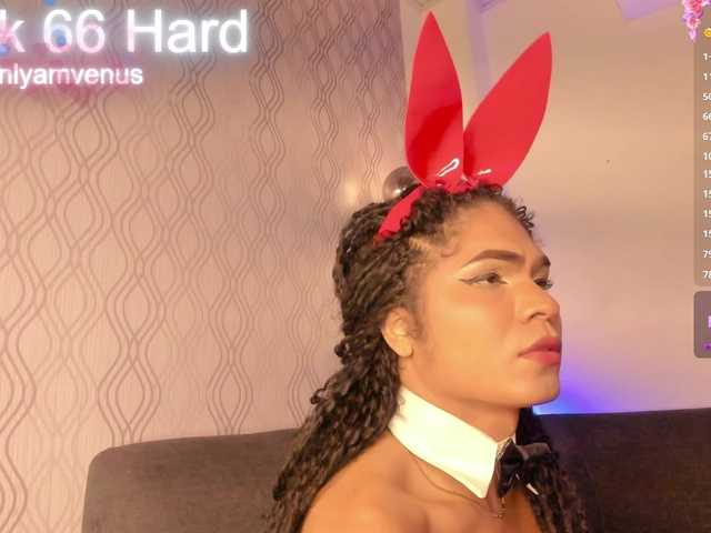 Live sex webcam photo for -veennus- #290249842