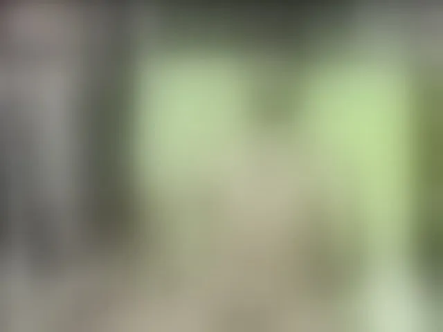 Live sex webcam photo for 00george #293724503