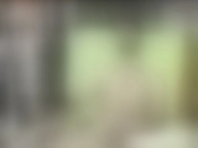 Live sex webcam photo for 00george #293726221