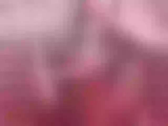 Live sex webcam photo for 11NCHSELFSUCKTS #277085744