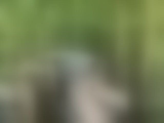 Live sex webcam photo for 13kissme13 #294227758