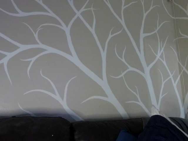 Live sex webcam photo for 1800fckyu #276325455