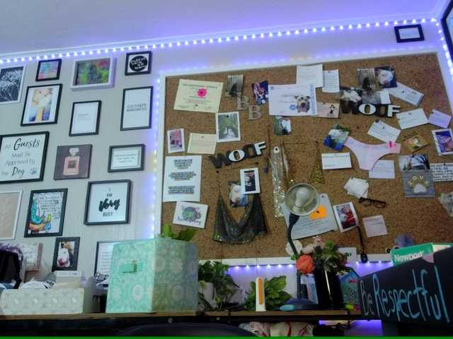 Live sex webcam photo for 1800fckyu #276445437