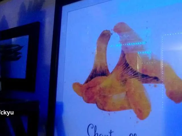 Live sex webcam photo for 1800fckyu #277669953