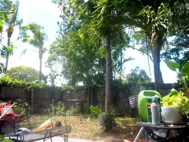 Live sex webcam photo for 1800fckyu #278162409