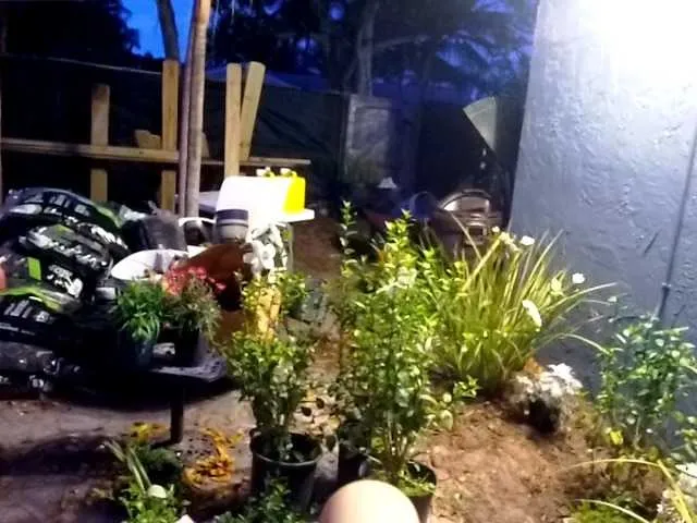 Live sex webcam photo for 1800fckyu #290865750