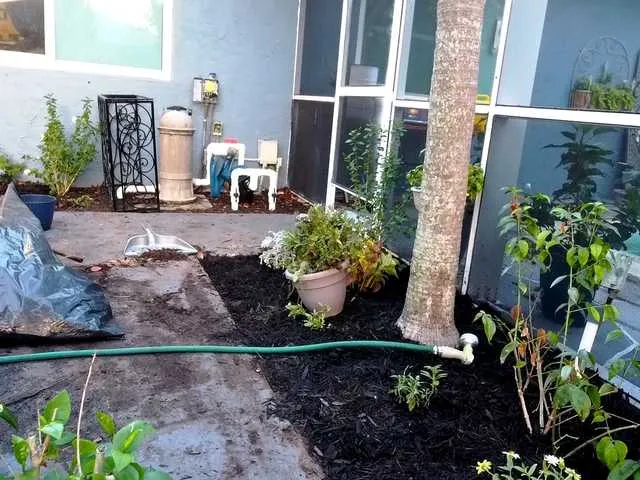 Live sex webcam photo for 1800fckyu #291209856