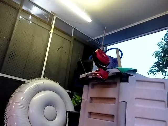 Live sex webcam photo for 1800fckyu #291356814