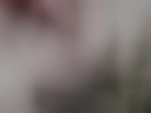 Live sex webcam photo for 1Glorya1 #292355162