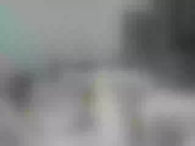 Live sex webcam photo for 1Nasty #274147130