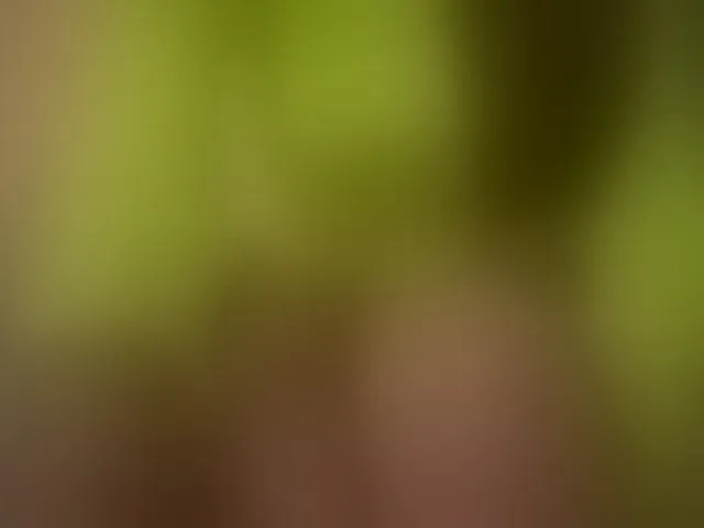 Live sex webcam photo for 1Orgasm1 #292556433