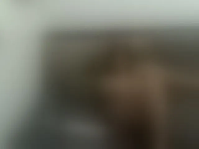 Live sex webcam photo for 1sweetasian #293923000