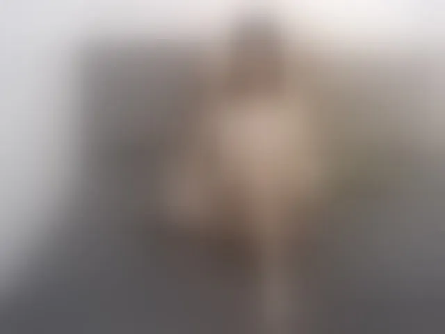 Live sex webcam photo for 1sweetasian #294049857