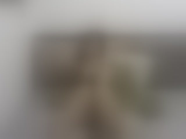 Live sex webcam photo for 1sweetasian #294098557