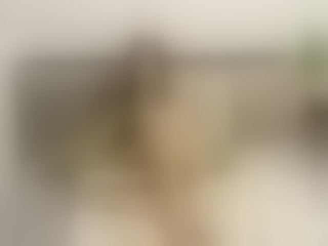 Live sex webcam photo for 1sweetasian #294195208