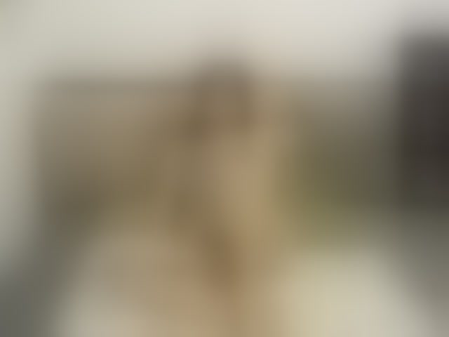 Live sex webcam photo for 1sweetasian #294227291