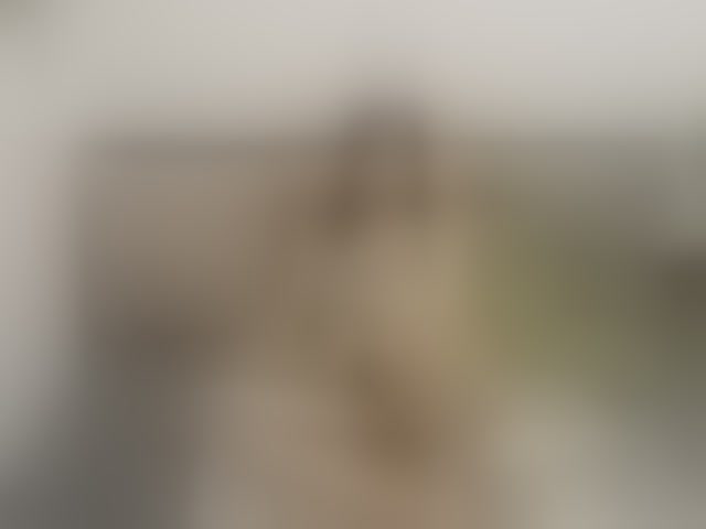 Live sex webcam photo for 1sweetasian #294262776
