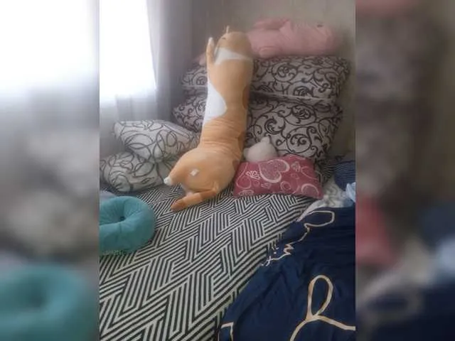 Live sex webcam photo for 4elchel #276275203