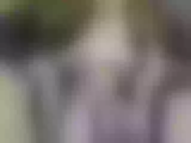 Live sex webcam photo for 669Aleksa669 #274242315