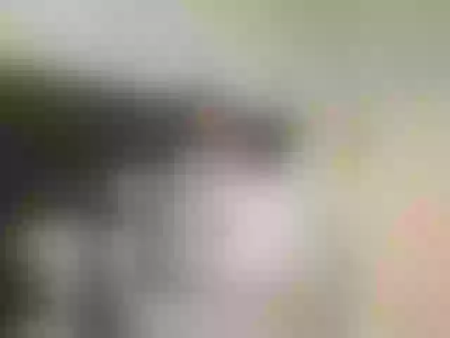 Live sex webcam photo for 669Aleksa669 #274619216