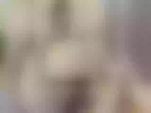 Live sex webcam photo for 669Aleksa669 #290288568
